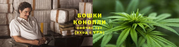 спиды Бородино