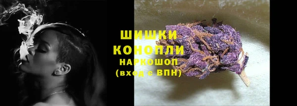 спиды Бородино