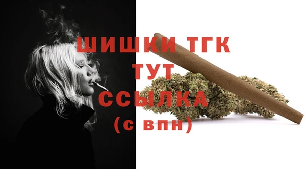 сатива Бугульма