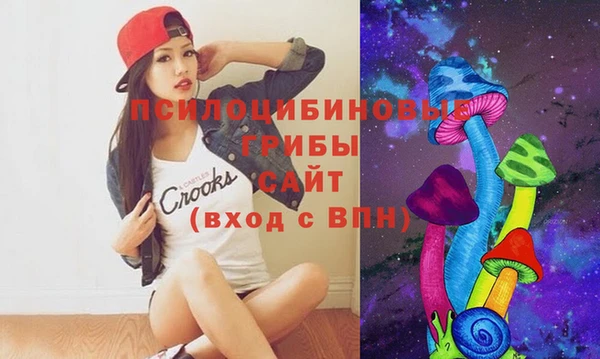 2c-b Бронницы