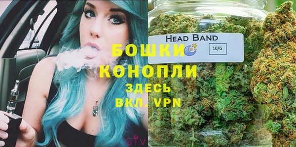 apvp Богданович