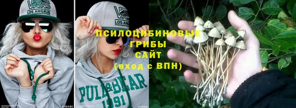 apvp Богданович