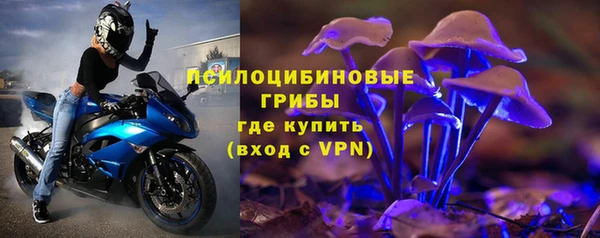 спиды Бородино