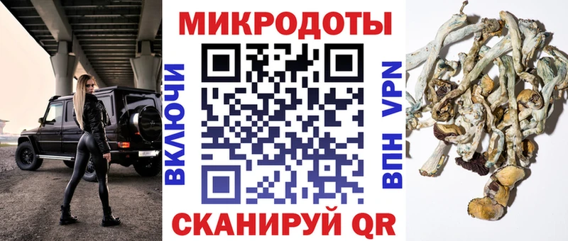 Псилоцибиновые грибы Cubensis  Электроугли 